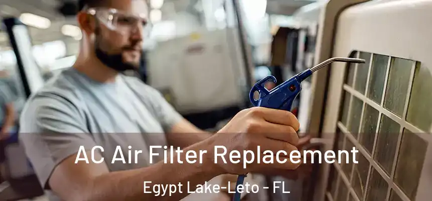  AC Air Filter Replacement Egypt Lake-Leto - FL