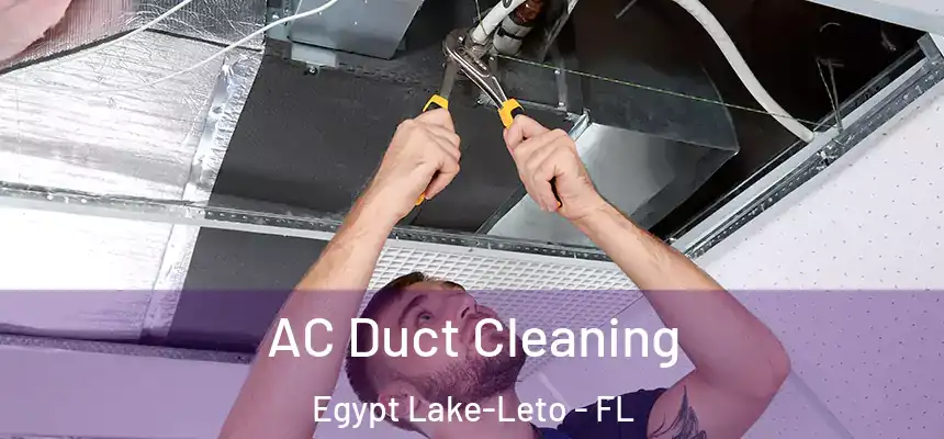  AC Duct Cleaning Egypt Lake-Leto - FL