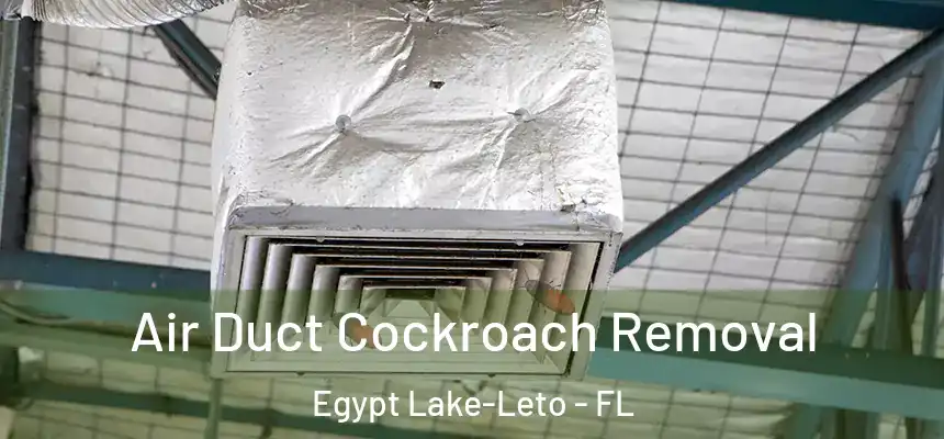 Air Duct Cockroach Removal Egypt Lake-Leto - FL