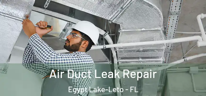  Air Duct Leak Repair Egypt Lake-Leto - FL