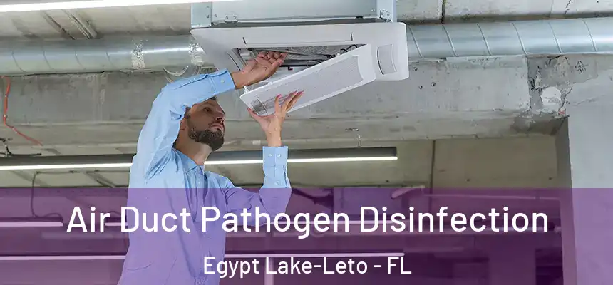  Air Duct Pathogen Disinfection Egypt Lake-Leto - FL