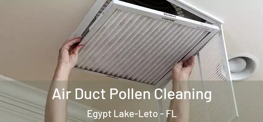  Air Duct Pollen Cleaning Egypt Lake-Leto - FL