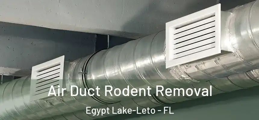  Air Duct Rodent Removal Egypt Lake-Leto - FL