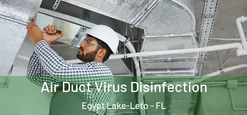 Air Duct Virus Disinfection Egypt Lake-Leto - FL