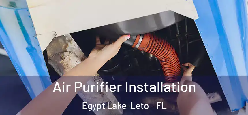 Air Purifier Installation Egypt Lake-Leto - FL