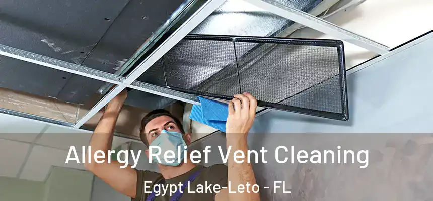  Allergy Relief Vent Cleaning Egypt Lake-Leto - FL