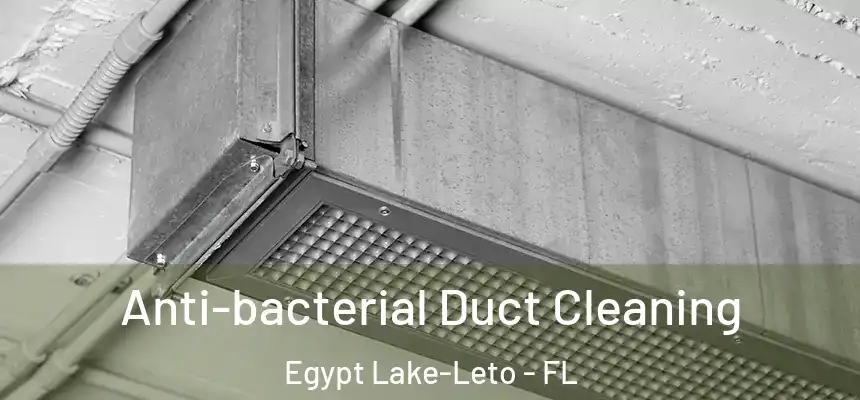  Anti-bacterial Duct Cleaning Egypt Lake-Leto - FL