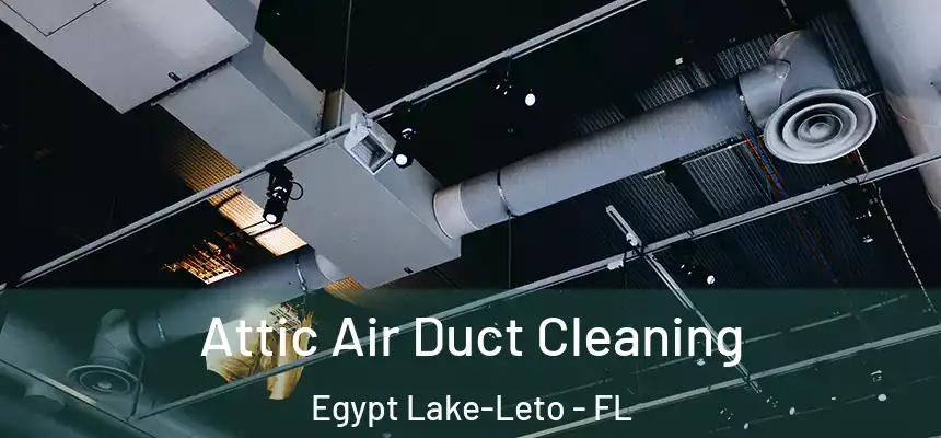  Attic Air Duct Cleaning Egypt Lake-Leto - FL