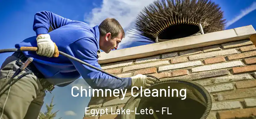 Chimney Cleaning Egypt Lake-Leto - FL