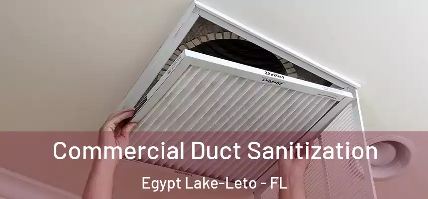 Commercial Duct Sanitization Egypt Lake-Leto - FL
