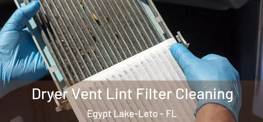 Dryer Vent Lint Filter Cleaning Egypt Lake-Leto - FL