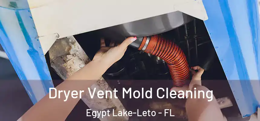  Dryer Vent Mold Cleaning Egypt Lake-Leto - FL
