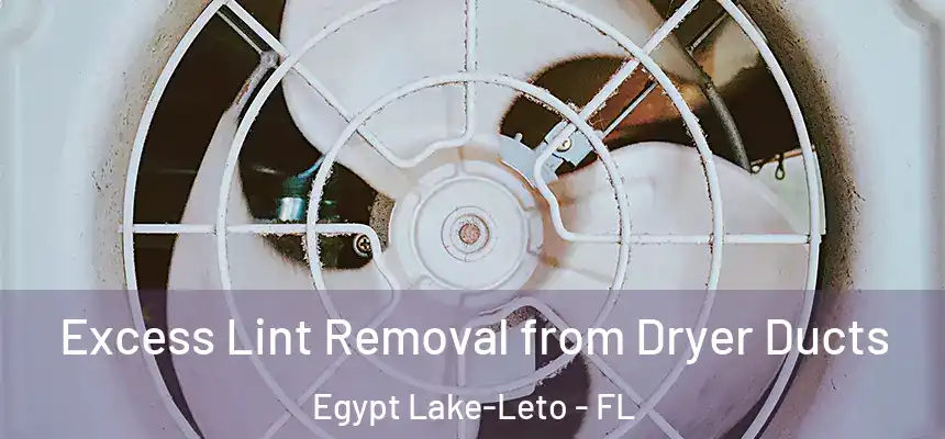  Excess Lint Removal from Dryer Ducts Egypt Lake-Leto - FL