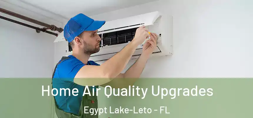  Home Air Quality Upgrades Egypt Lake-Leto - FL