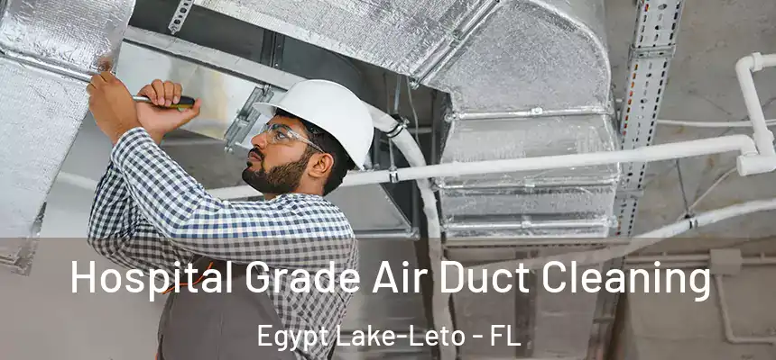  Hospital Grade Air Duct Cleaning Egypt Lake-Leto - FL