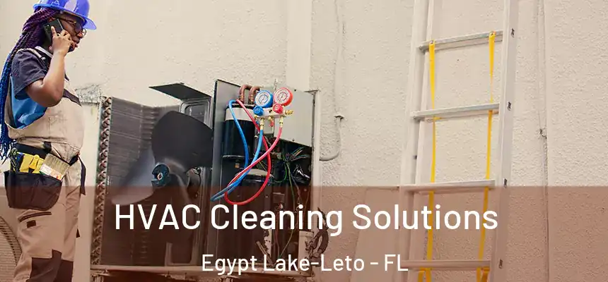 HVAC Cleaning Solutions Egypt Lake-Leto - FL