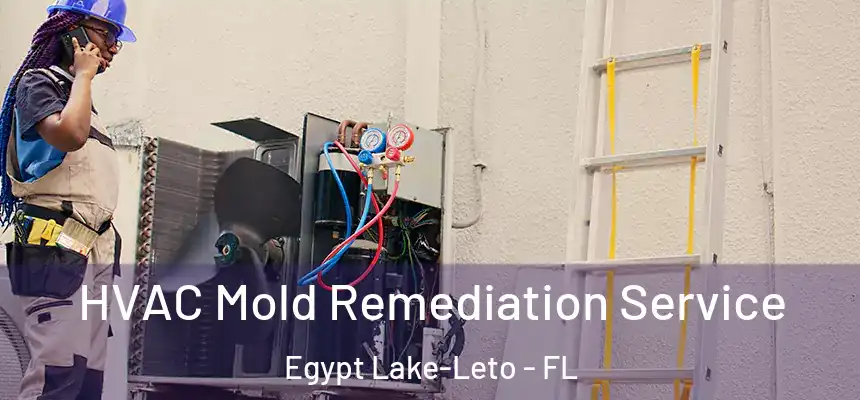  HVAC Mold Remediation Service Egypt Lake-Leto - FL