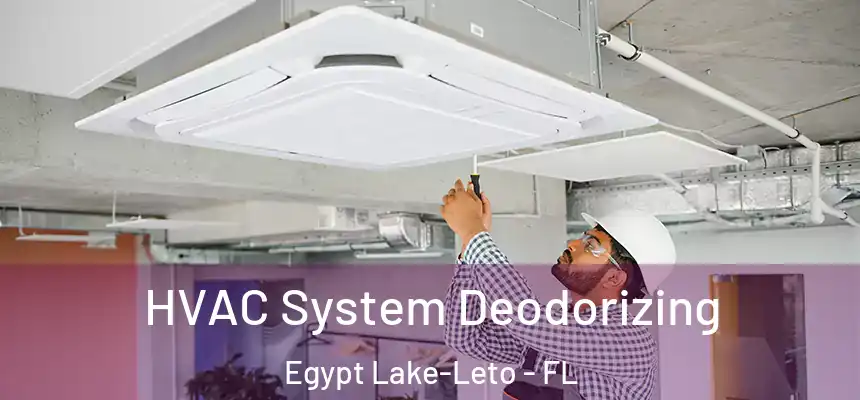  HVAC System Deodorizing Egypt Lake-Leto - FL