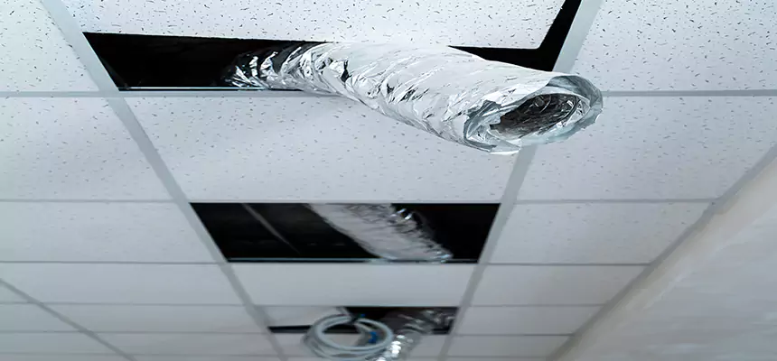 Affordable HVAC Sanitizing After Pest Removal in Egypt Lake-Leto