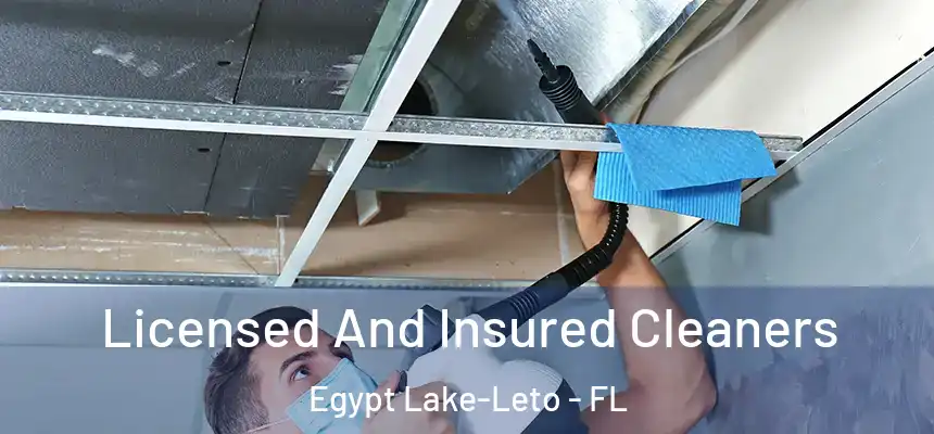  Licensed And Insured Cleaners Egypt Lake-Leto - FL