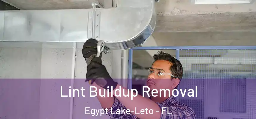  Lint Buildup Removal Egypt Lake-Leto - FL
