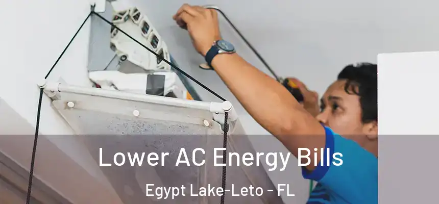  Lower AC Energy Bills Egypt Lake-Leto - FL