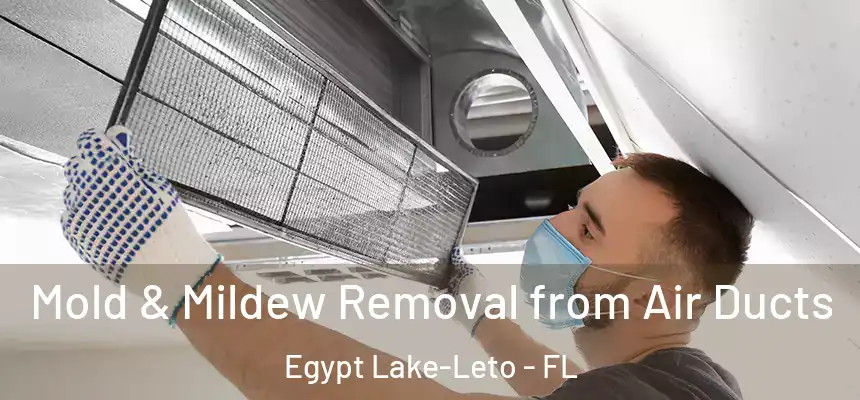  Mold & Mildew Removal from Air Ducts Egypt Lake-Leto - FL