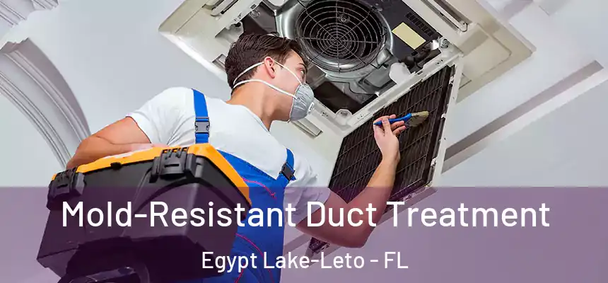  Mold-Resistant Duct Treatment Egypt Lake-Leto - FL