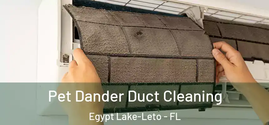  Pet Dander Duct Cleaning Egypt Lake-Leto - FL