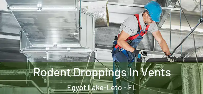  Rodent Droppings In Vents Egypt Lake-Leto - FL