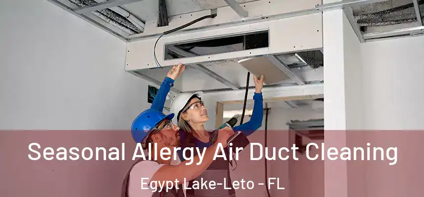 Seasonal Allergy Air Duct Cleaning Egypt Lake-Leto - FL
