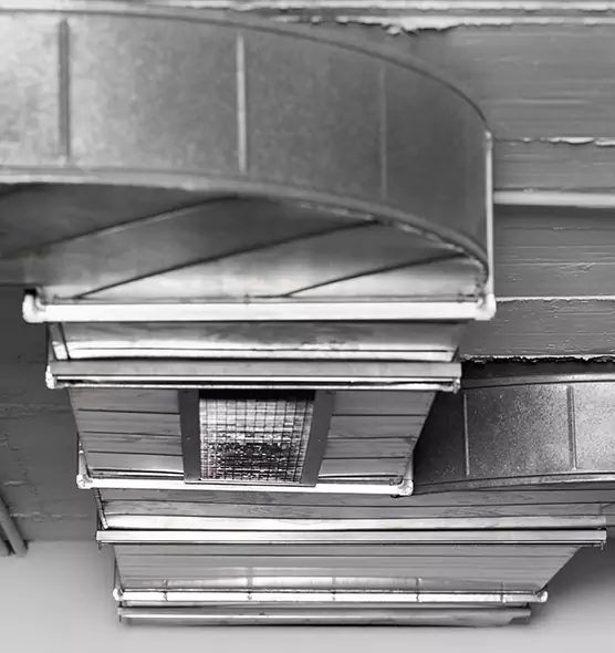 Professional Air Duct Pest Removal in Egypt Lake-Leto, FL