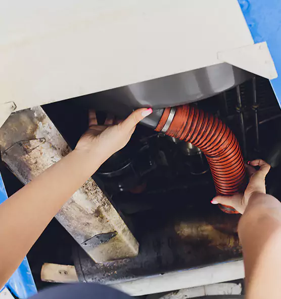 About Air Duct Virus Disinfection in Egypt Lake-Leto, FL