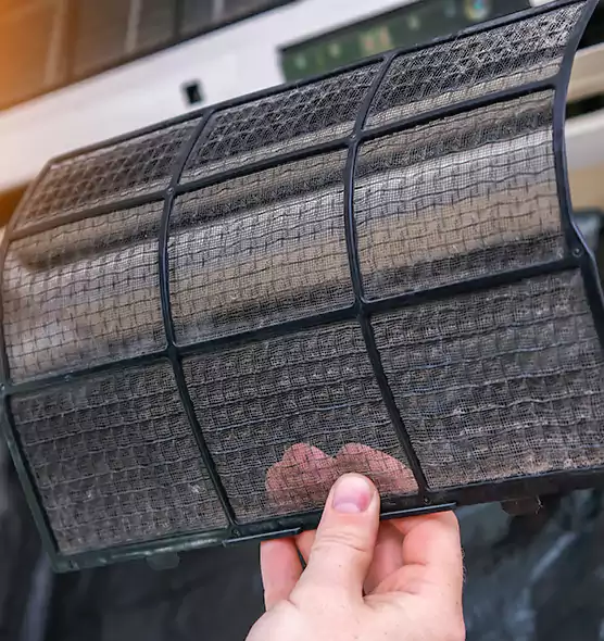About Pet Dander Duct Cleaning in Egypt Lake-Leto, FL