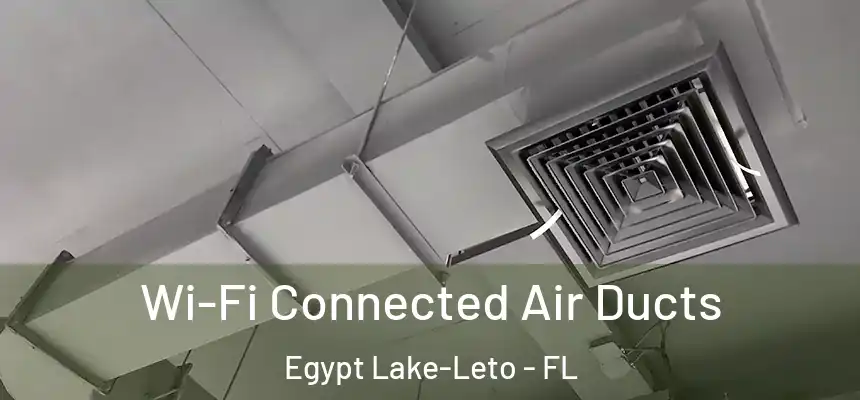  Wi-Fi Connected Air Ducts Egypt Lake-Leto - FL